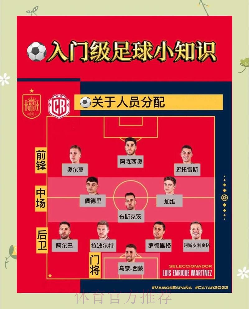 世界杯比分教程最佳指南解析